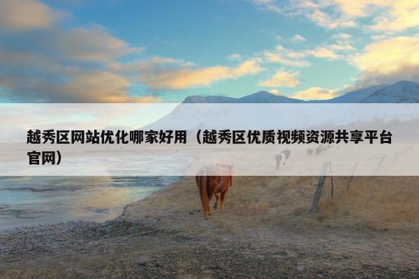 越秀区网站优化哪家好用（越秀区优质视频资源共享平台官网）