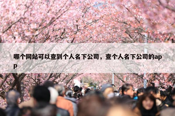 哪个网站可以查到个人名下公司，查个人名下公司的app