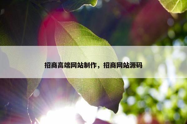 招商高端网站制作，招商网站源码
