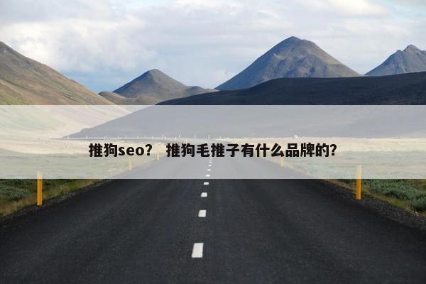 推狗seo？ 推狗毛推子有什么品牌的？