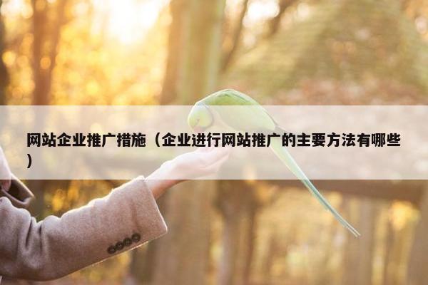 网站企业推广措施（企业进行网站推广的主要方法有哪些）
