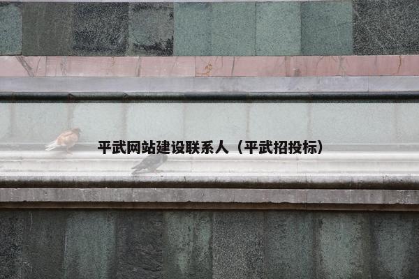平武网站建设联系人（平武招投标）