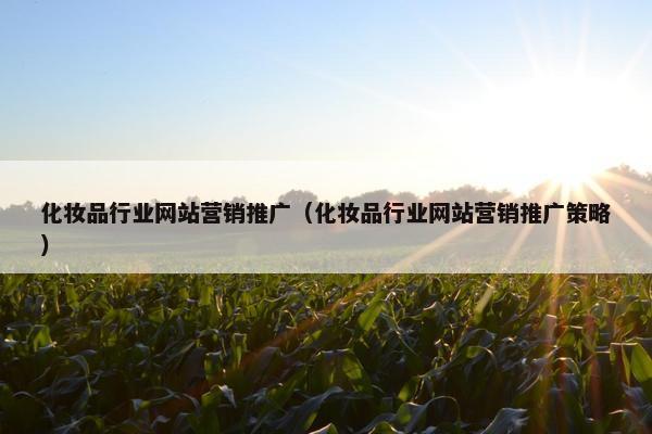 化妆品行业网站营销推广（化妆品行业网站营销推广策略）