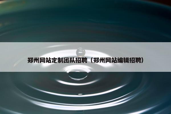 郑州网站定制团队招聘（郑州网站编辑招聘）