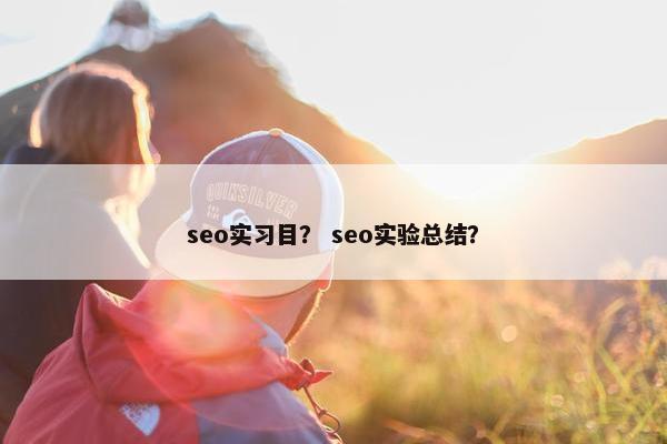 seo实习目？ seo实验总结？