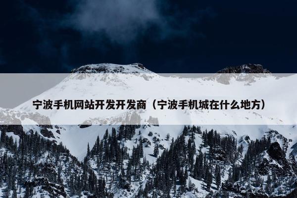 宁波手机网站开发开发商（宁波手机城在什么地方）