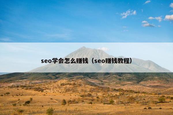 seo学会怎么赚钱（seo赚钱教程）