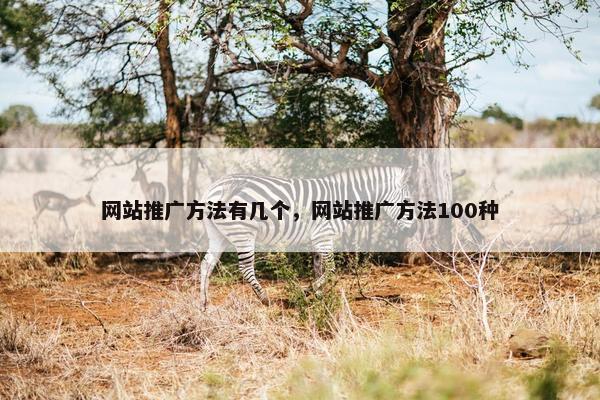 网站推广方法有几个，网站推广方法100种