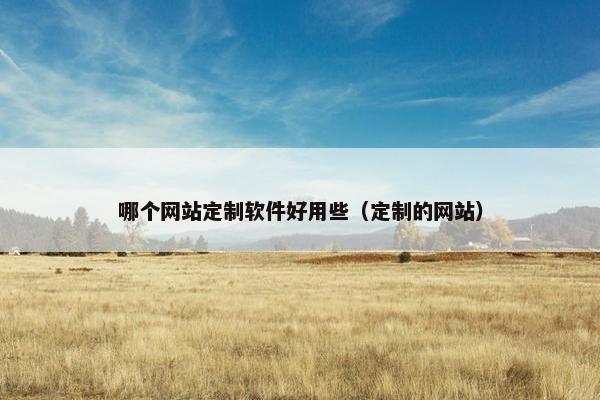 哪个网站定制软件好用些（定制的网站）