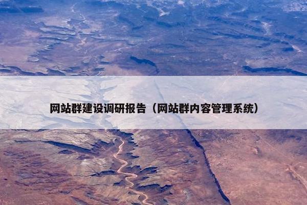 网站群建设调研报告（网站群内容管理系统）