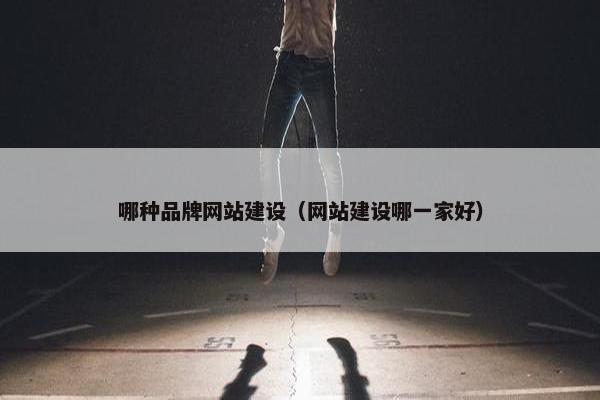 哪种品牌网站建设（网站建设哪一家好）