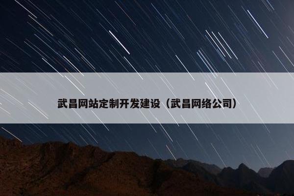 武昌网站定制开发建设（武昌网络公司）