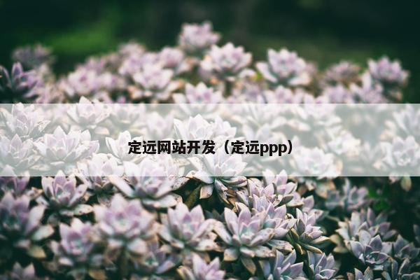 定远网站开发（定远ppp）