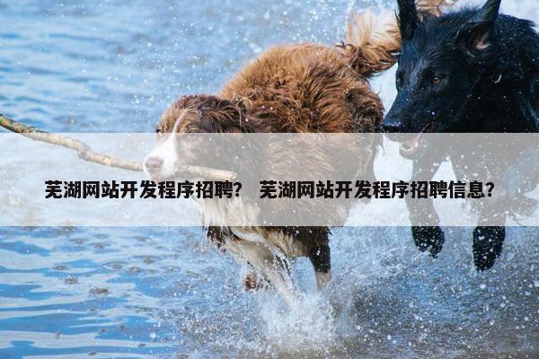 芜湖网站开发程序招聘？ 芜湖网站开发程序招聘信息？