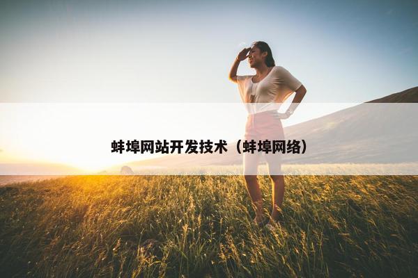 蚌埠网站开发技术（蚌埠网络）