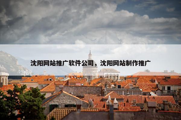 沈阳网站推广软件公司，沈阳网站制作推广