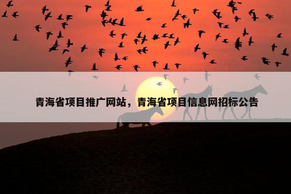 青海省项目推广网站，青海省项目信息网招标公告