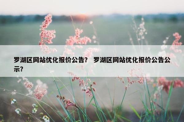 罗湖区网站优化报价公告？ 罗湖区网站优化报价公告公示？