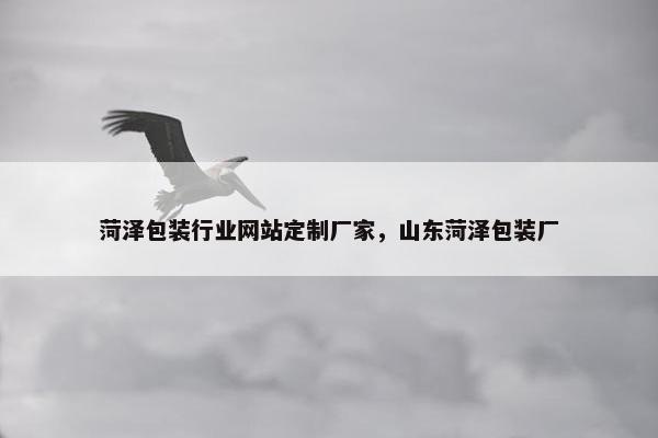 菏泽包装行业网站定制厂家，山东菏泽包装厂