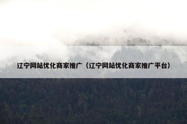 辽宁网站优化商家推广（辽宁网站优化商家推广平台）