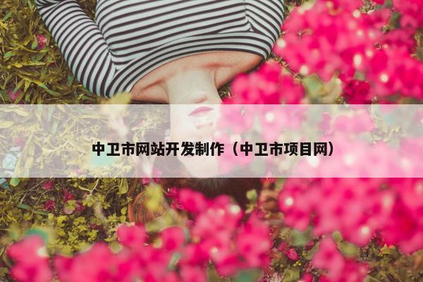 中卫市网站开发制作（中卫市项目网）