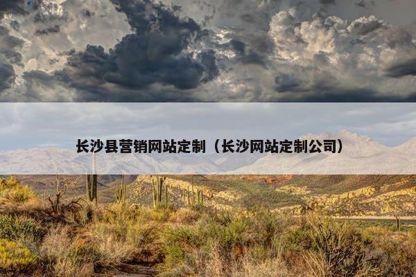 长沙县营销网站定制（长沙网站定制公司）