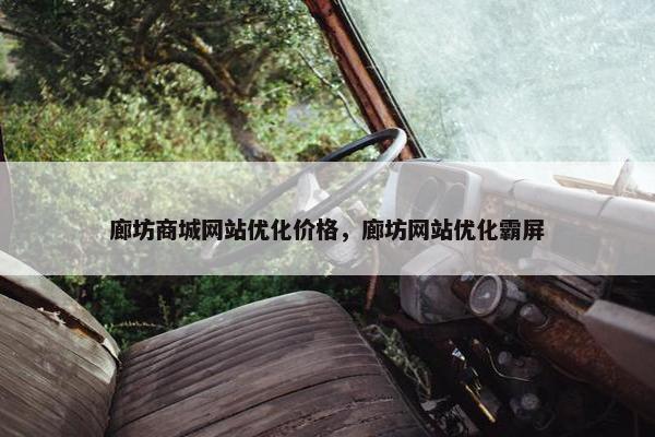 廊坊商城网站优化价格，廊坊网站优化霸屏