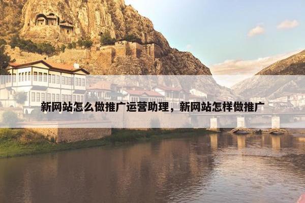 新网站怎么做推广运营助理，新网站怎样做推广