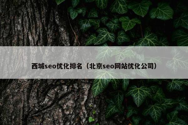 西城seo优化排名（北京seo网站优化公司）