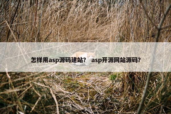 怎样用asp源码建站？ asp开源网站源码？