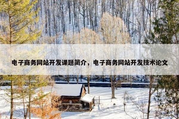 电子商务网站开发课题简介，电子商务网站开发技术论文