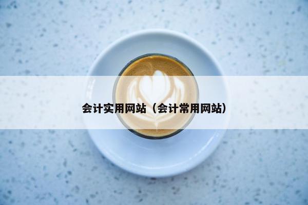会计实用网站（会计常用网站）
