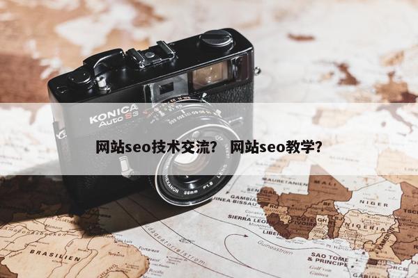 网站seo技术交流？ 网站seo教学？