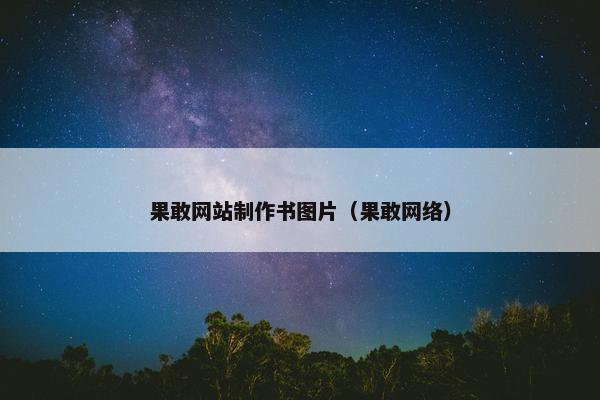 果敢网站制作书图片（果敢网络）