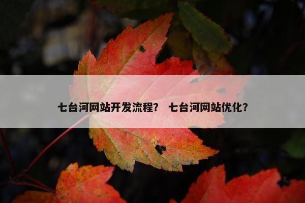 七台河网站开发流程？ 七台河网站优化？
