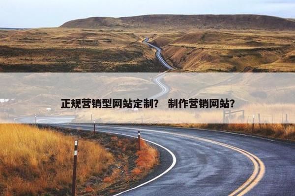 正规营销型网站定制？ 制作营销网站？