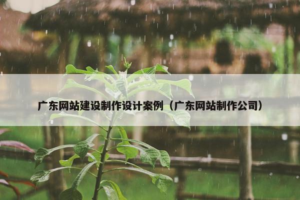 广东网站建设制作设计案例（广东网站制作公司）
