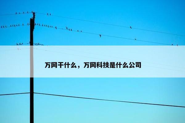 万网干什么，万网科技是什么公司