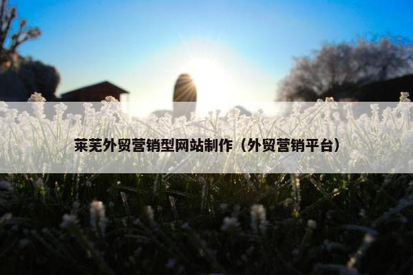 莱芜外贸营销型网站制作（外贸营销平台）