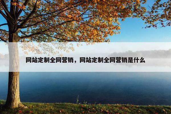网站定制全网营销，网站定制全网营销是什么