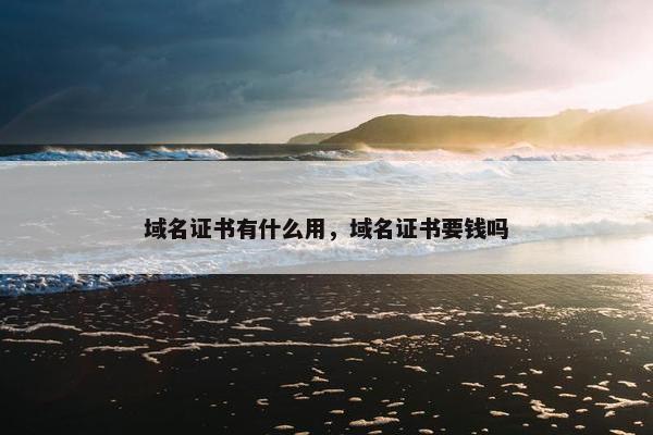 域名证书有什么用，域名证书要钱吗