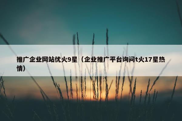 推广企业网站优火9星（企业推广平台询问t火17星热情）