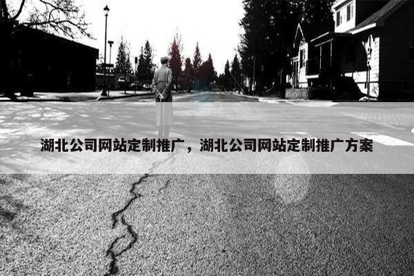 湖北公司网站定制推广，湖北公司网站定制推广方案