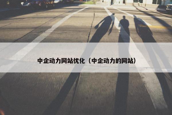 中企动力网站优化（中企动力的网站）