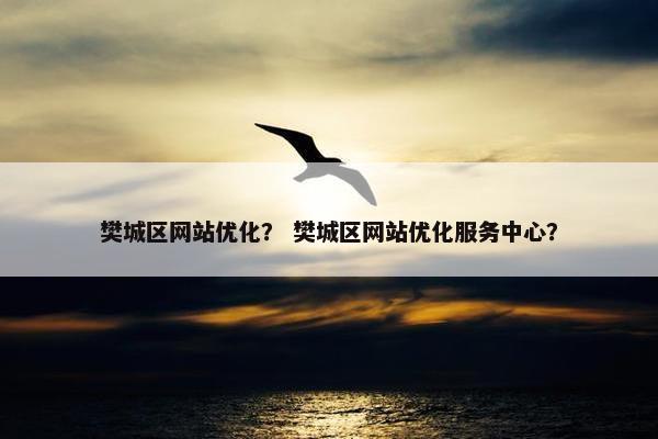樊城区网站优化？ 樊城区网站优化服务中心？