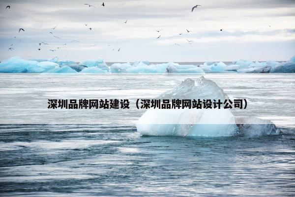 深圳品牌网站建设（深圳品牌网站设计公司）