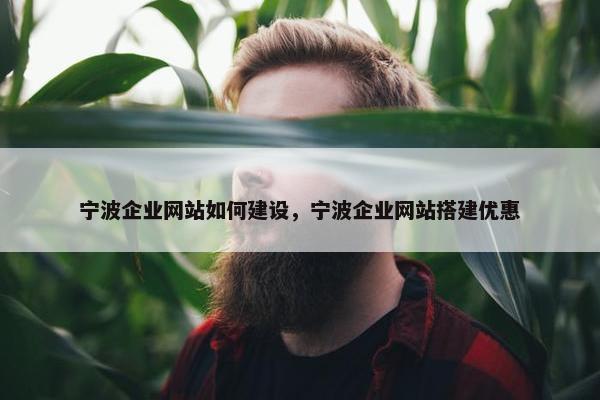 宁波企业网站如何建设，宁波企业网站搭建优惠