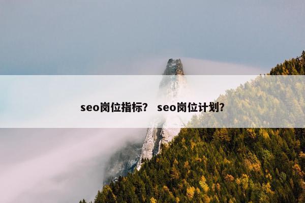 seo岗位指标？ seo岗位计划？