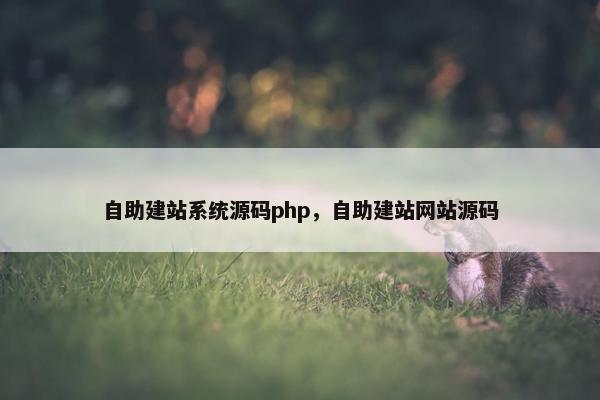 自助建站系统源码php，自助建站网站源码