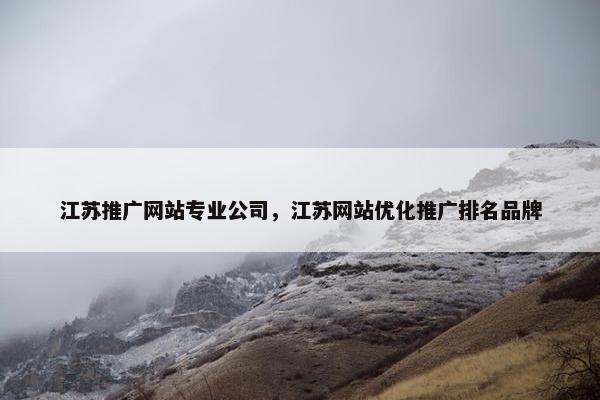 江苏推广网站专业公司，江苏网站优化推广排名品牌